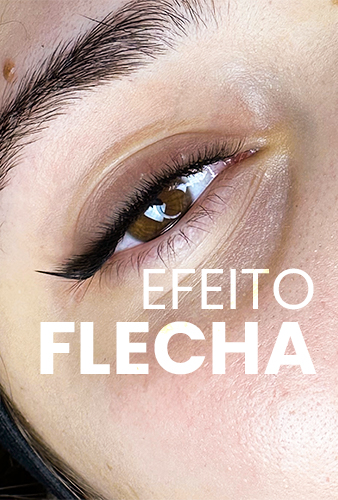 flecha